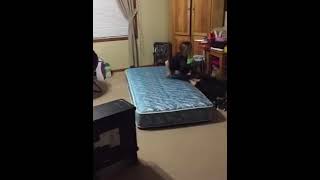 Dog Sits On Girls Head While She Shows Off Handspring Skills - 1172720