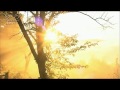 Softly as in a Morning sunrise