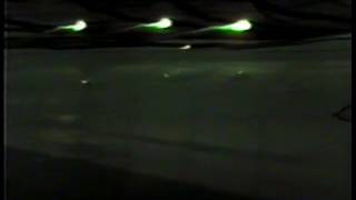 Flat Rock - Aug 21, 1982 - Street Stock B Main