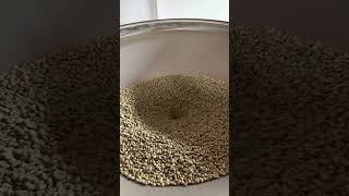 PROBAT Probatone 25 Coffee roaster