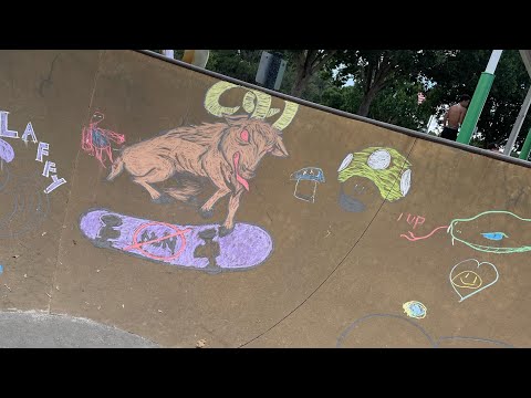 Lakeland go skate day 