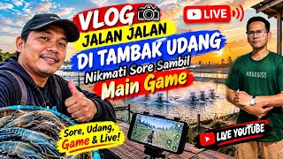 Vlog Jalan Jalan Live Di Tambak Udang Nikmati Sore Sambil Main Game Live Youtube #live #livestream 