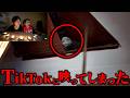 TikTokに映った恐怖映像集が怖すぎて泣いた...