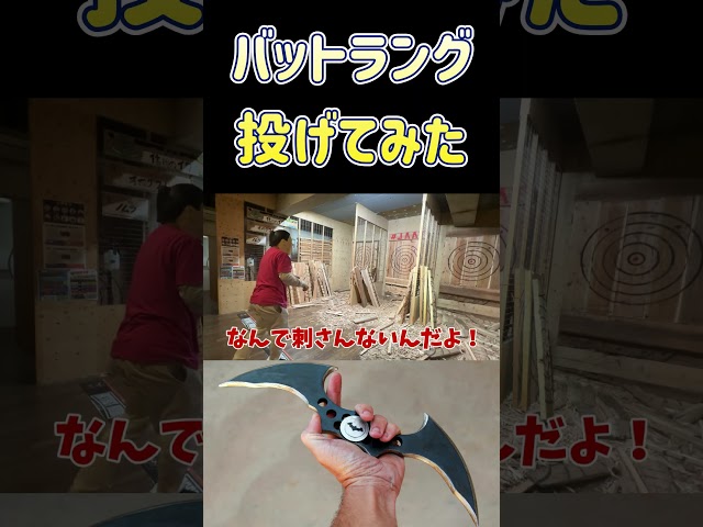 手裏剣みたいな本物のバットラング投げてみた！ #バットマン #スパイダーマン　#ホラフキン