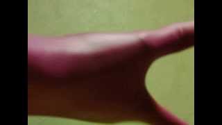 炊事用手袋２