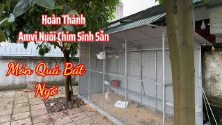 Hoàn Thiện Amvi Nuôi Sinh Sản, May Mắn Ghé Thăm I Doctor Phan Hoàng