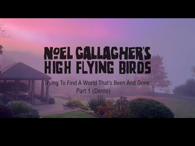 Noel Gallagher's High Flying Birds - Trying To Find A World That's Bee