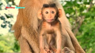 Very lovely & charming sweetie baby Jonas reacting & lip smacking to cameraman with funny face.