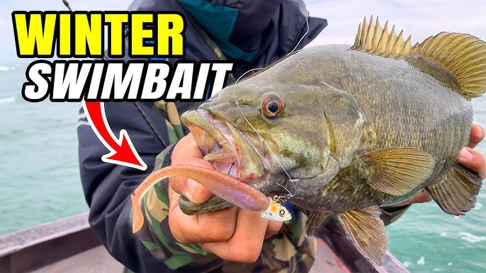 This REALISTIC Goby Bait Catches GIANT Smallmouth (Sight Fishing