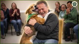 Cuando los perros eligen a sus dueños | Momentos de adopción P1