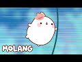 🩵✨ Fun in the Jungle 🌴 Molang Cartoon Collection