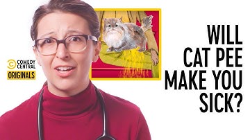 Can I Get Sick From Smelling Cat Urine? - Your Worst Fears Confirmed