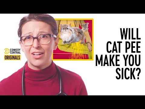 Videó: Veszélyes a macskapisilben lévő ammónia?
