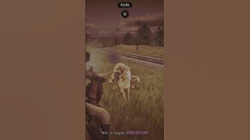 Horse back No scope ( free aim )