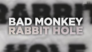 Bad Monkey - Rabbit Hole (Official Audio) #technomusic #techno