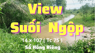Đất Dầu Tiếng |View suối siêu đẹp  - bán gấp - nhựa DH 715 - giá rẽ#461