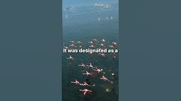 Sambhar Lake #geography #shortsvideo #facts #viral #shortsvideo #viralvideo #Upsc #youtube