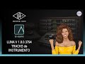Universal Audio LUNA tutorial en español | Tracks de Instrumento