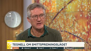 Tegnell: ”Munskydd kan bli aktuellt lokalt" - Nyhetsmorgon (TV4)