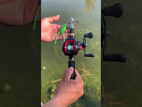 Cần câu lure