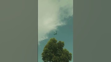 القارئ رضوان الناصري 