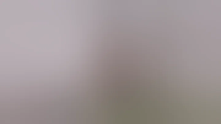 , ,  | 2022 |