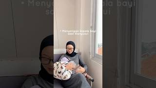 Ini Nih Yang Dibutuhin Buat Ibu Menyusui