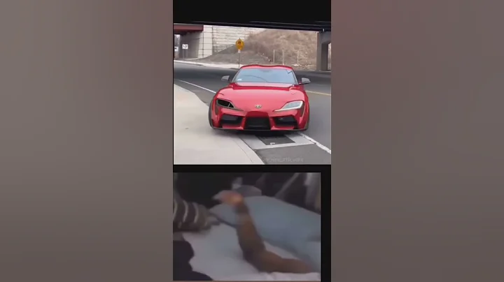 Only legends like credit to ________ #gtr #supra #supramk4 #viral #shortsvideo #shorts