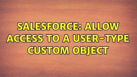 Salesforce: Allow access to a user-type custom object