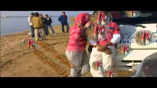 Janda - Yotube Mrcampuraduk