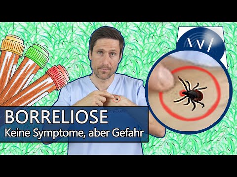 Video: Kann die Lyme-Borreliose bei Hunden wieder auftreten?