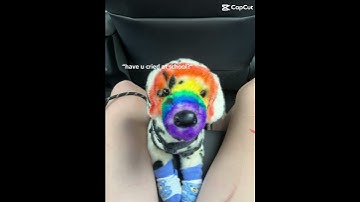 #doganxiety #anxiety #adhd #essa