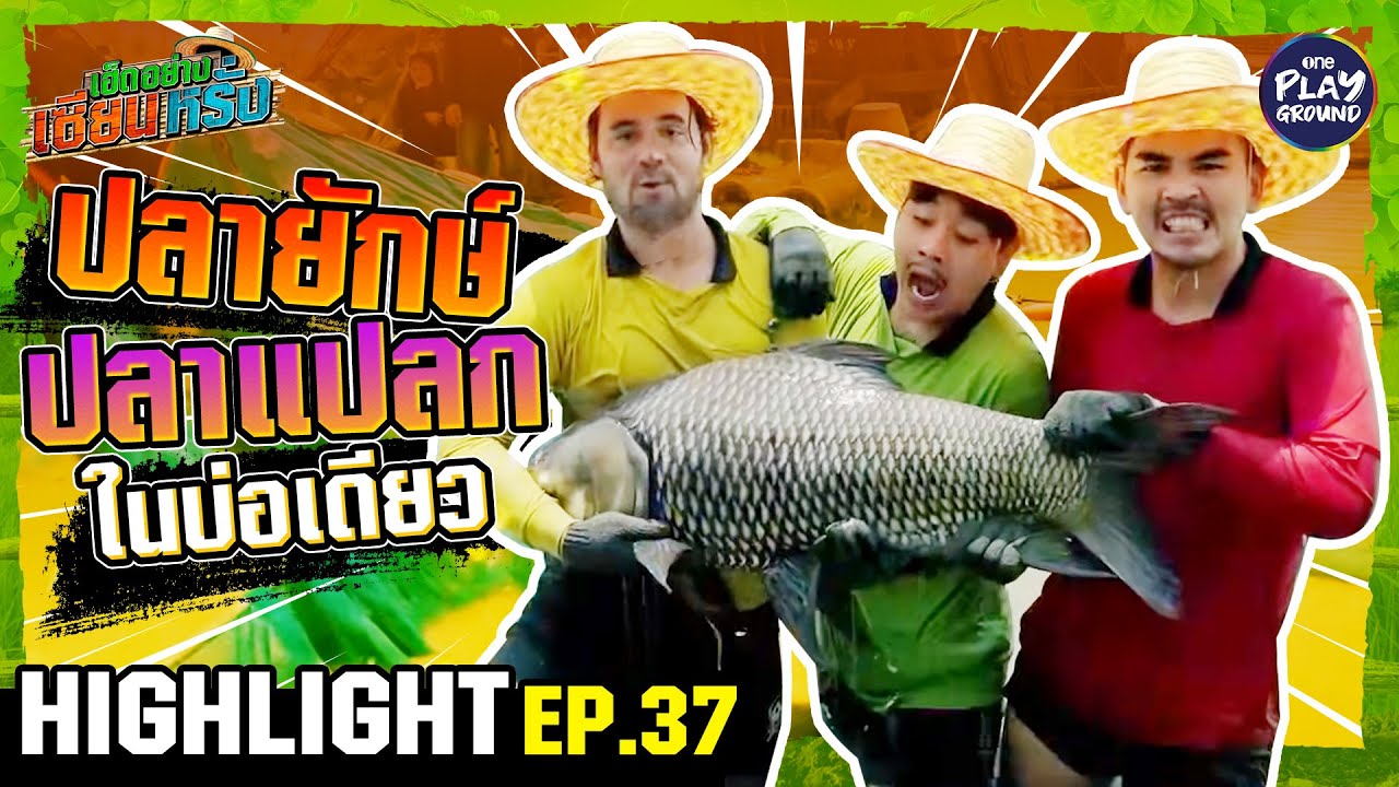 [Highlight EP.37] ปลายักษ์ ปลาแปลก ในบ่อเดียว | เฮ็ดอย่างเซียนหรั่ง | OnePlayground