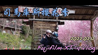 「Vlog」司馬庫斯櫻花季空拍🌸  上帝的部落 櫻花隧道Fujifilm XT-4 + Dji Mini2