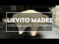 Lievito madre liquido e solido, tutto quello che dovete sapere se volete iniziare a farlo