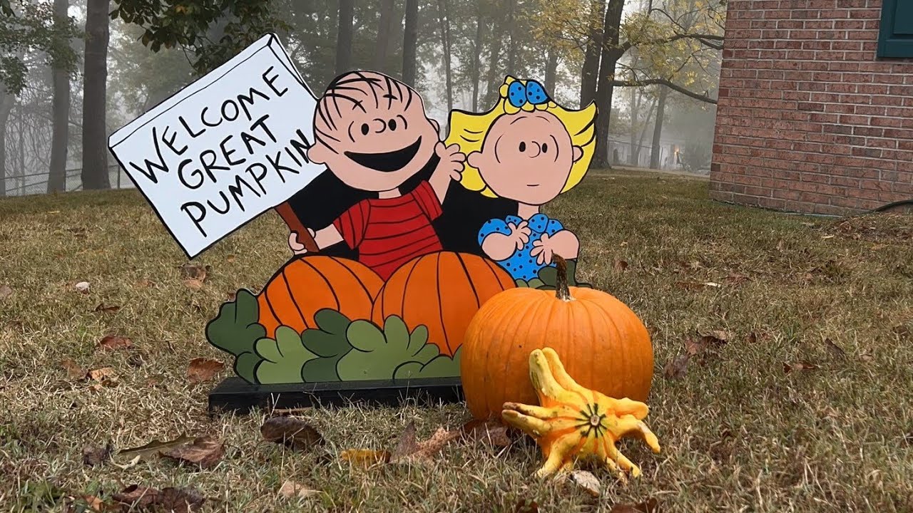 Graham Shortall - Pumpkins