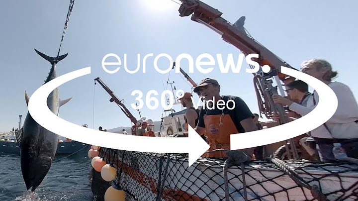 VÍDEO 360º: Esta técnica ancestral es la forma más sostenible de capturar atún
