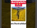 ඔයාටත් පේනවද🙏🙏