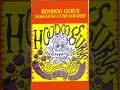 HOODOO GURUS, I Don't Know Anything