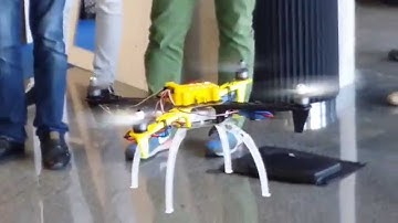 Erle-Copter en Librecon 2014