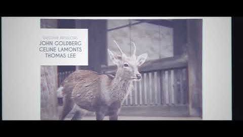 Slide Projector| VideoHive Templates | After Effects Project Files