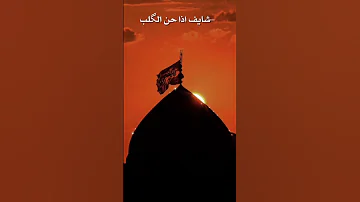 يفهمني بس البيه جرح سيد فاقد الموسوي ستوريات حسينية حالات واتساب تصميمي Shorts Story محرم 