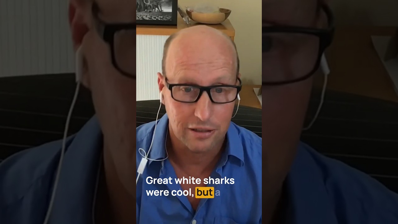 When a great white shark takes flight