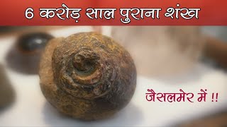 6 करोड़ साल पुराना शंख जैसलमेर में  !! EP 5 Jaisalmer Calling | Visit to 'Light of the East' Shop |