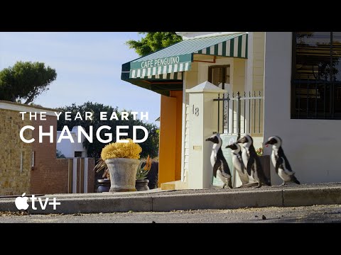 The Year Earth Changed — "City Penguins in South Africa" Clip | Apple TV+ - The Year Earth Changed — "City Penguins in South Africa" Clip | Apple TV+