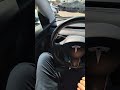2019 Tesla Model 3 interior