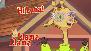 Detalles Luna Giraffe Compilation | Llama Llama Actualización