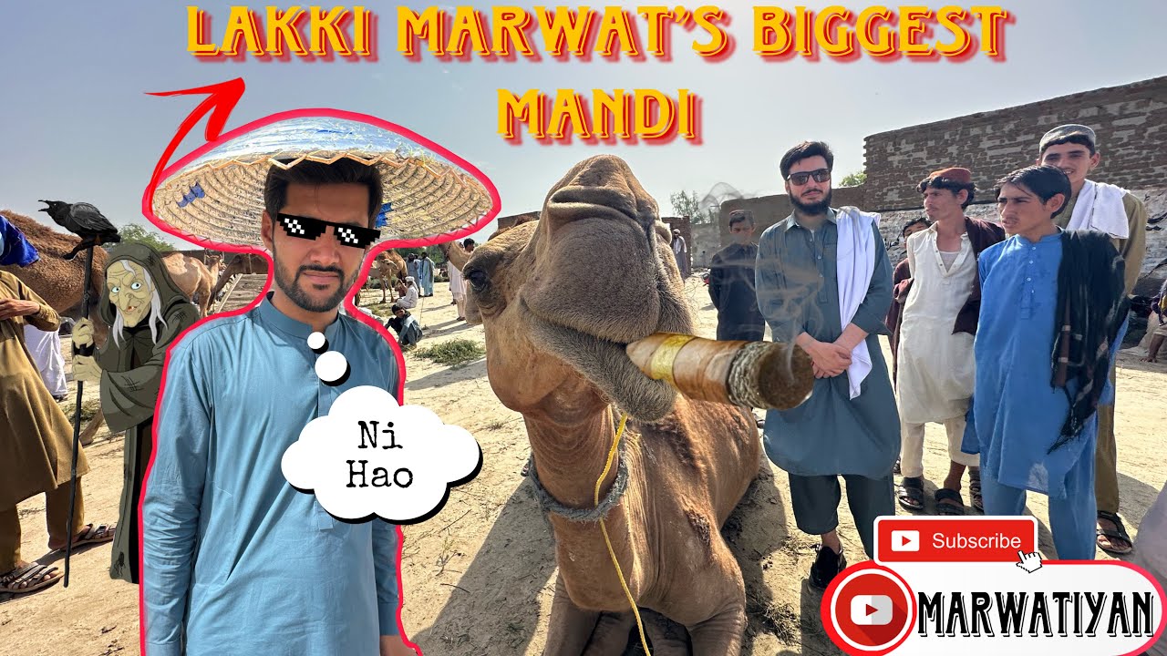 Biggest Mandi |Landiwah| Lakki Marwat | Marwatiyan
