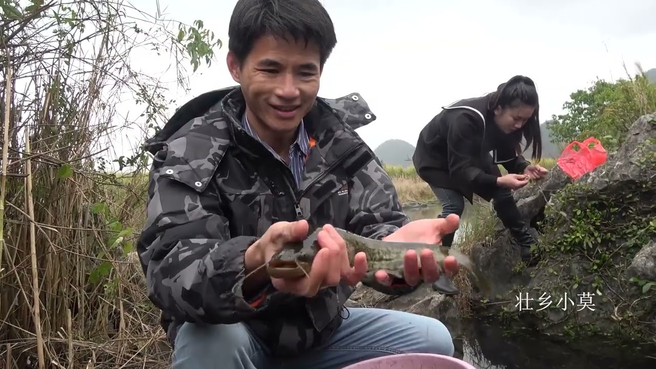 深潭坚持天天打窝，十天后开钓果然有鱼群，美女赶紧找老板来收鱼