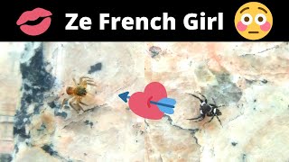 Ze French Girl - La Fille Française (A Jumping Spider Love Story)